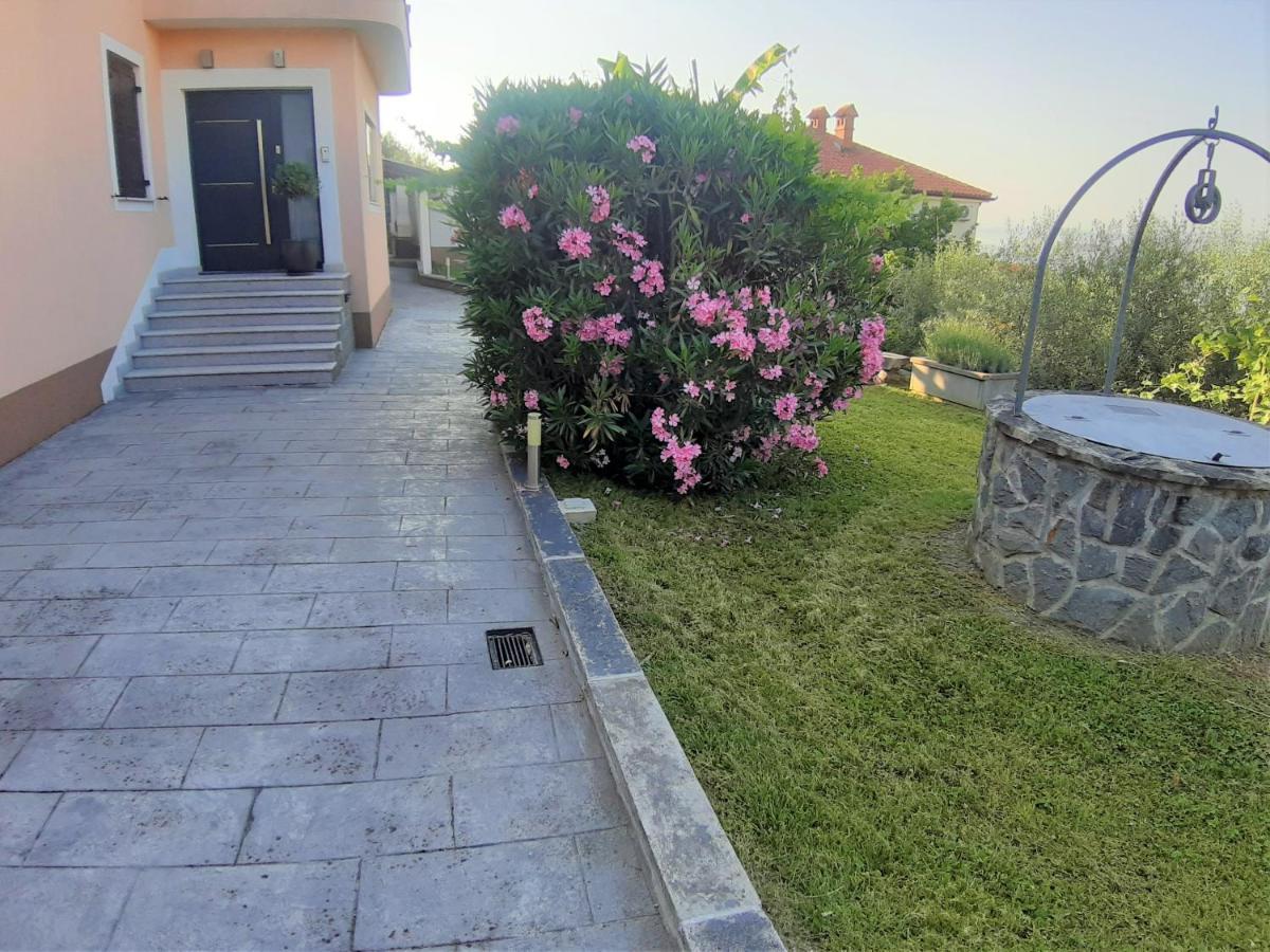 Apartment Nona Nina كوبر المظهر الخارجي الصورة
