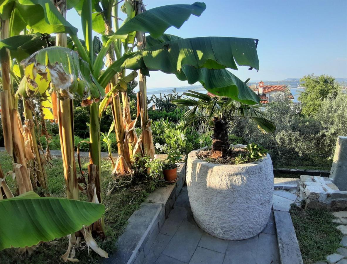 Apartment Nona Nina كوبر المظهر الخارجي الصورة